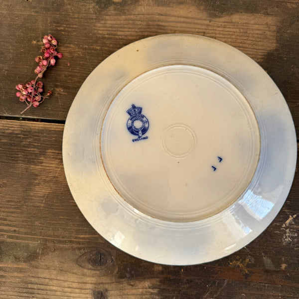 Pretty Blue Vintage Plate