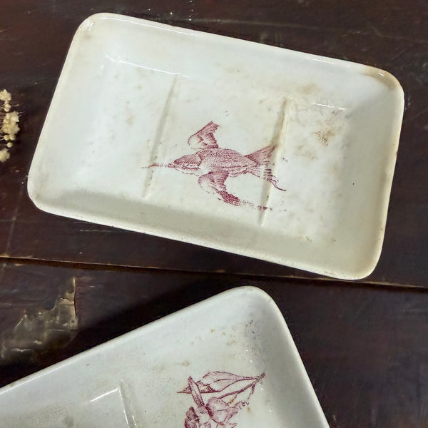 Antique French Bird Ceramic Dish