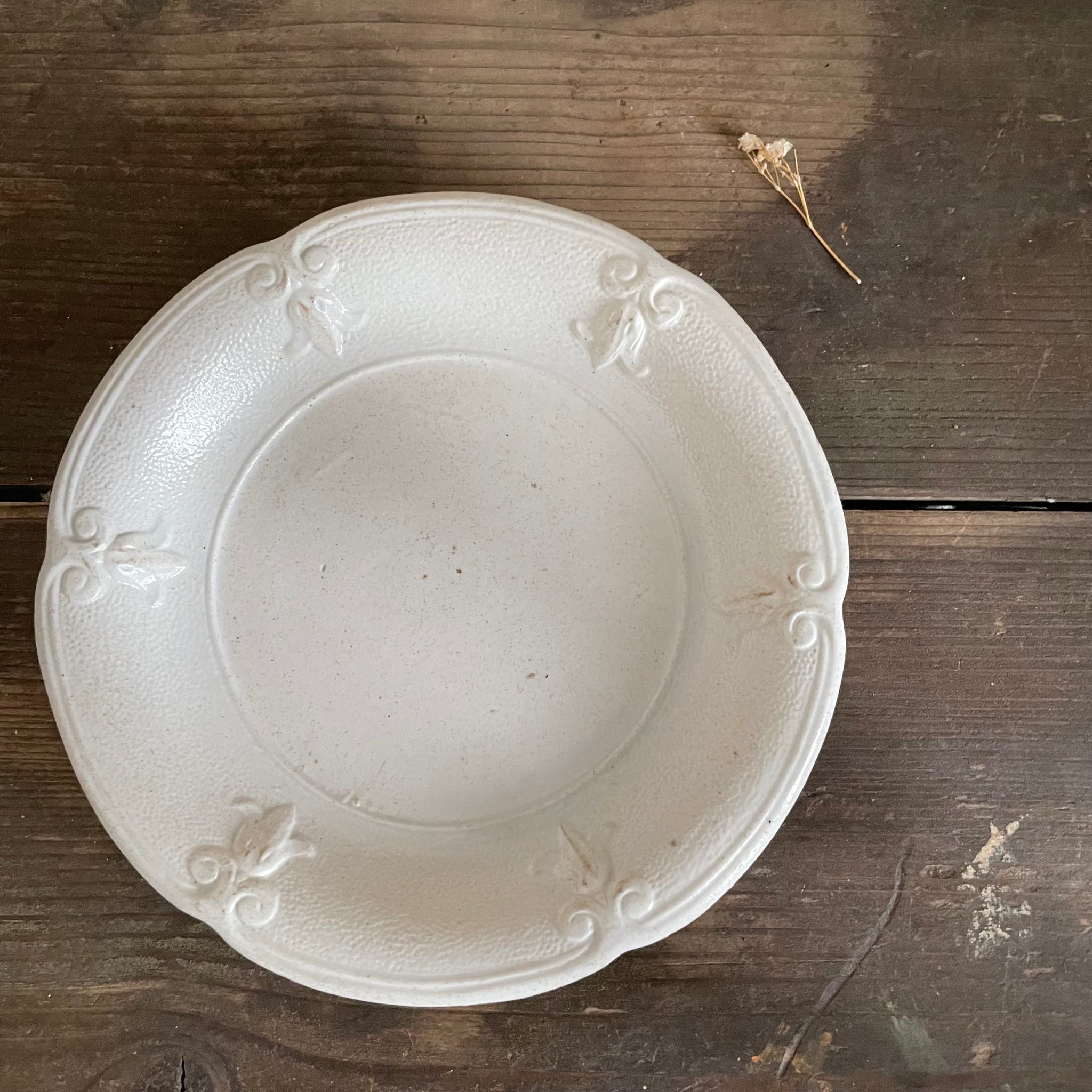 Vintage Beautiful French Plate