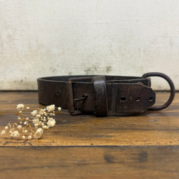 Antique Dog Collar