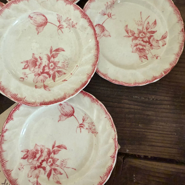 Antique Floral Pink Child Plates