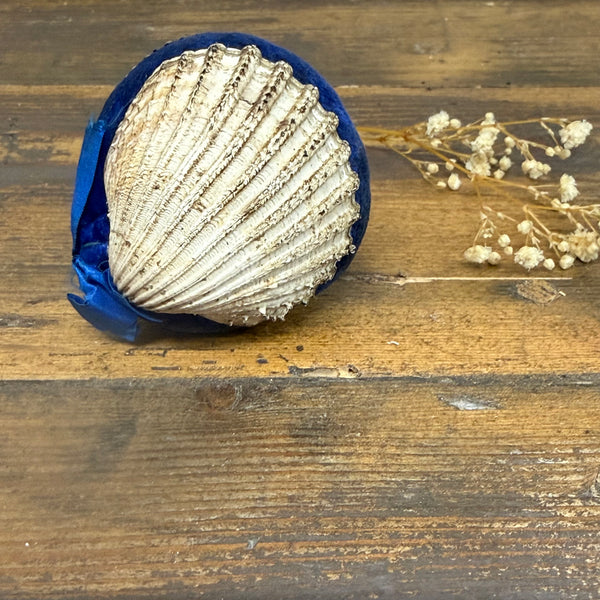 Antique Clam Pin Cushions