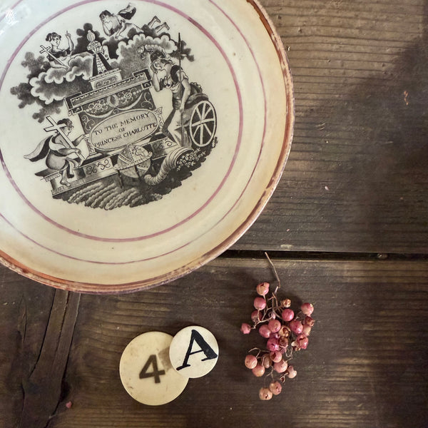 Beautiful Princess Charlotte Plate