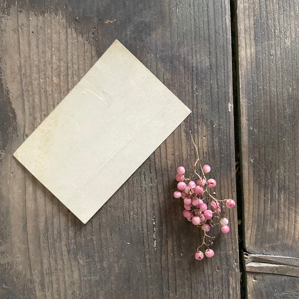 Antique Cemetery Number