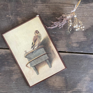 Vintage Bird Print