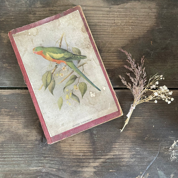 Vintage Bird Book