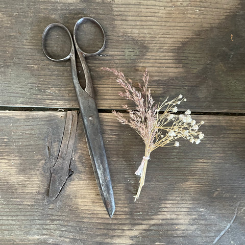 Antique Beautiful Scissors