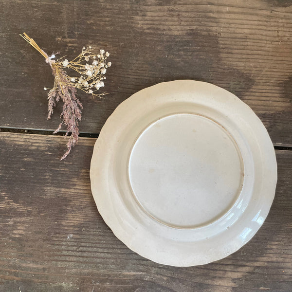 Antique Staffordshire Queen Victoria Plate