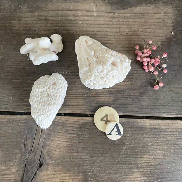 Antique Trio of Coral