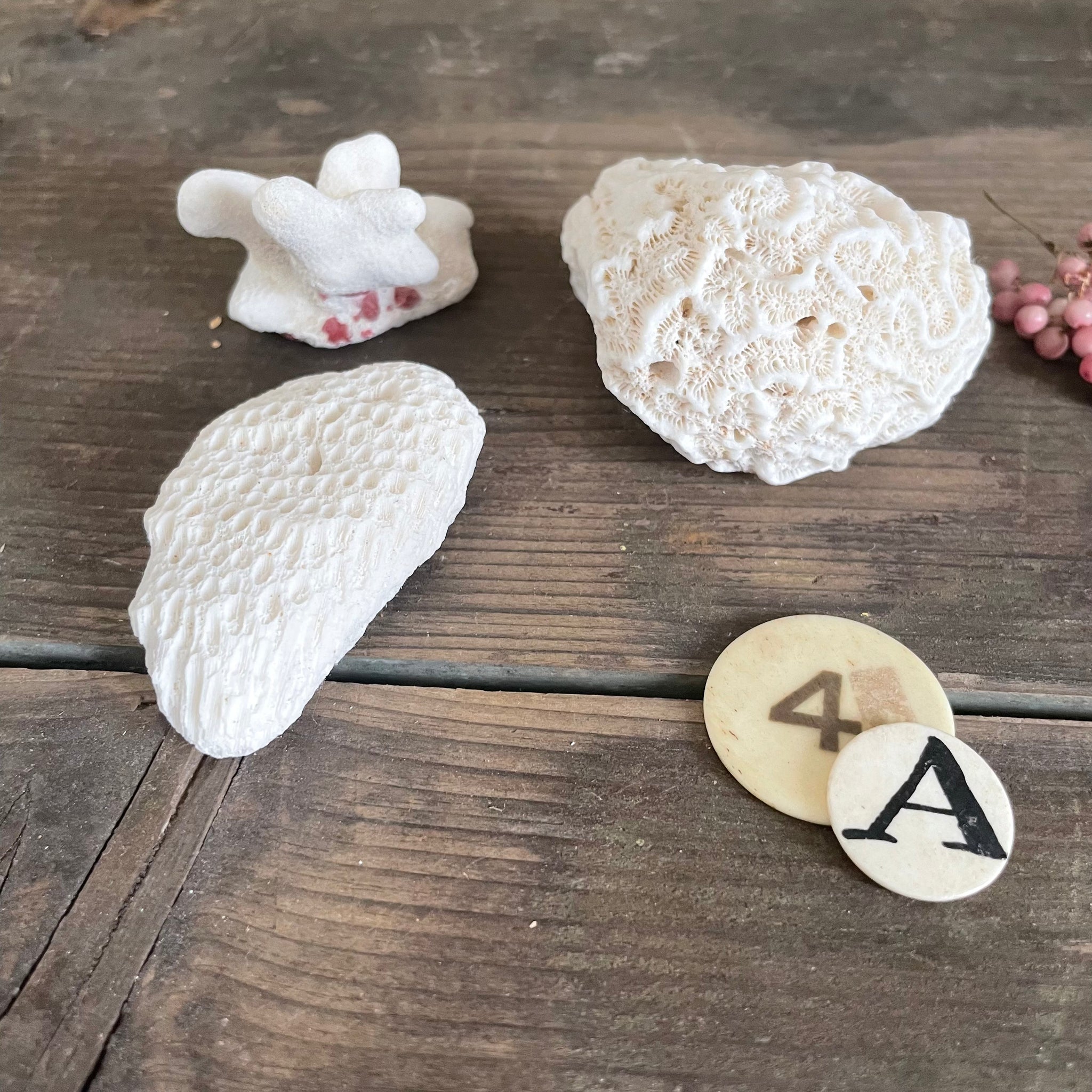 Antique Trio of Coral