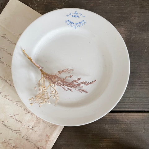 Pretty Vintage Plate