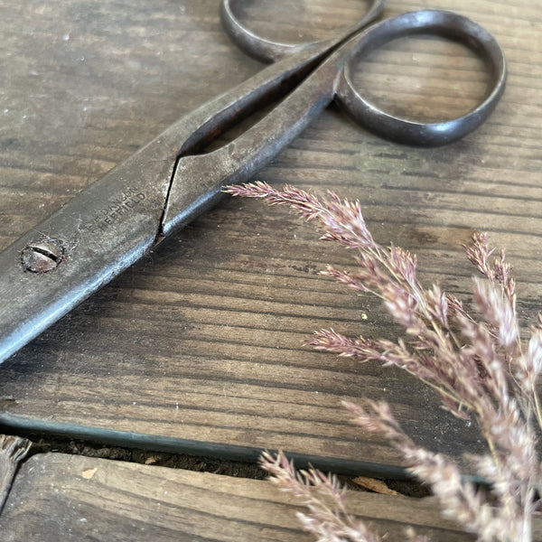 Antique Beautiful Scissors