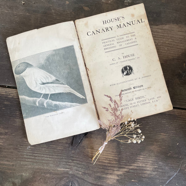 Vintage Bird Book