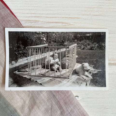 Vintage Photograph of a Dog and a Child in Playpen