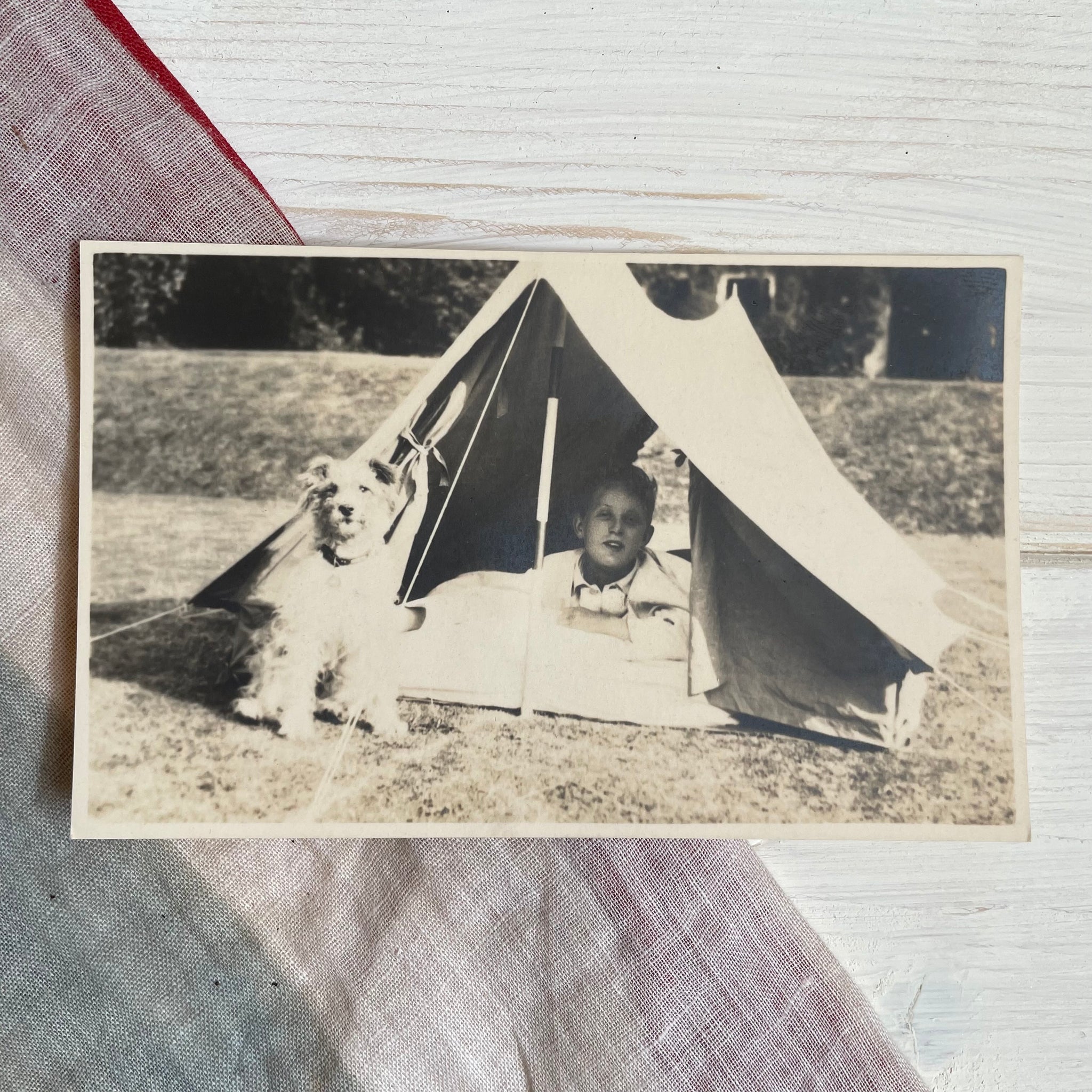 Vintage Photograph of a Boy in Tent with his Dog