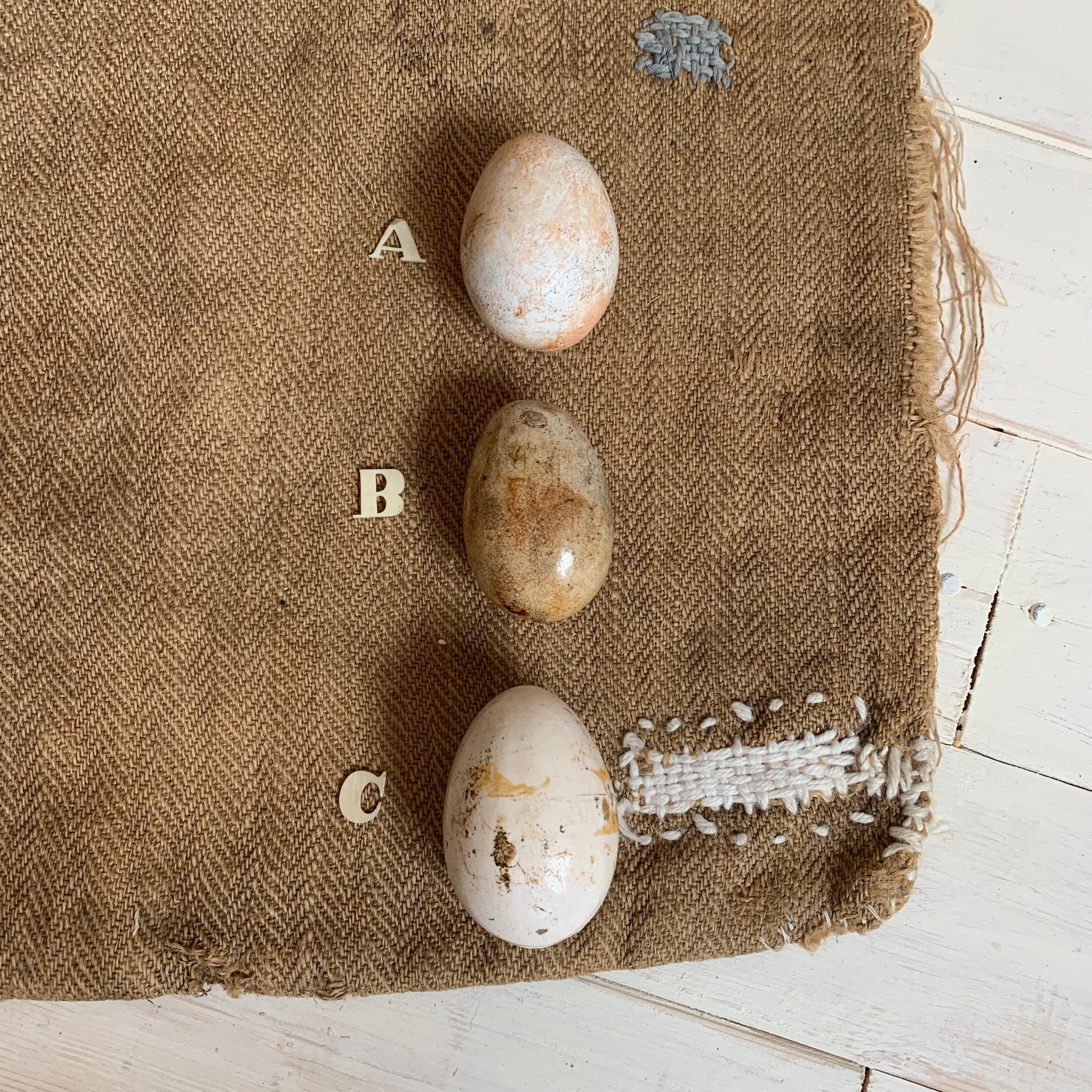 Super Rare Dummy / Brooding Eggs
