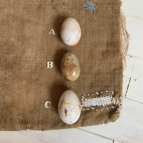 Super Rare Dummy / Brooding Eggs