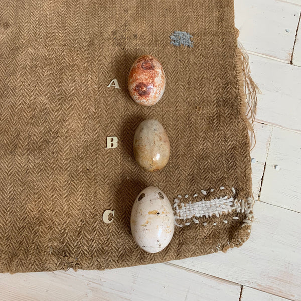 Super Rare Dummy / Brooding Eggs