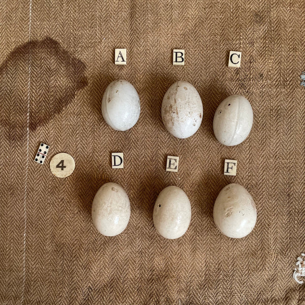 Super Rare Dummy / Brooding Eggs