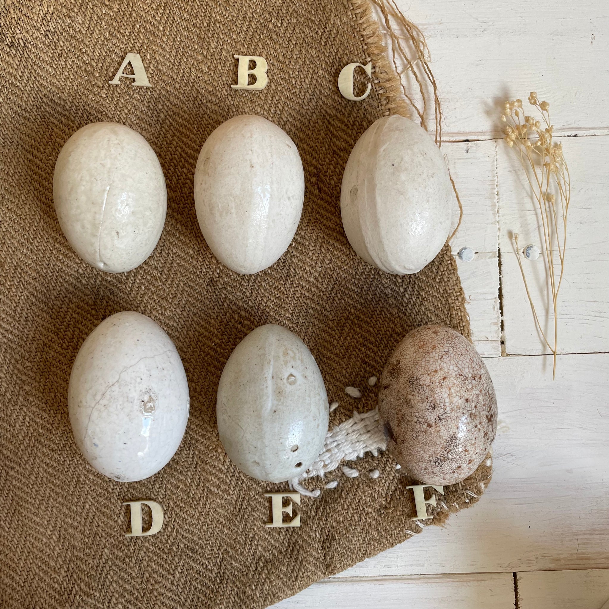 Super Rare Dummy / Brooding Eggs