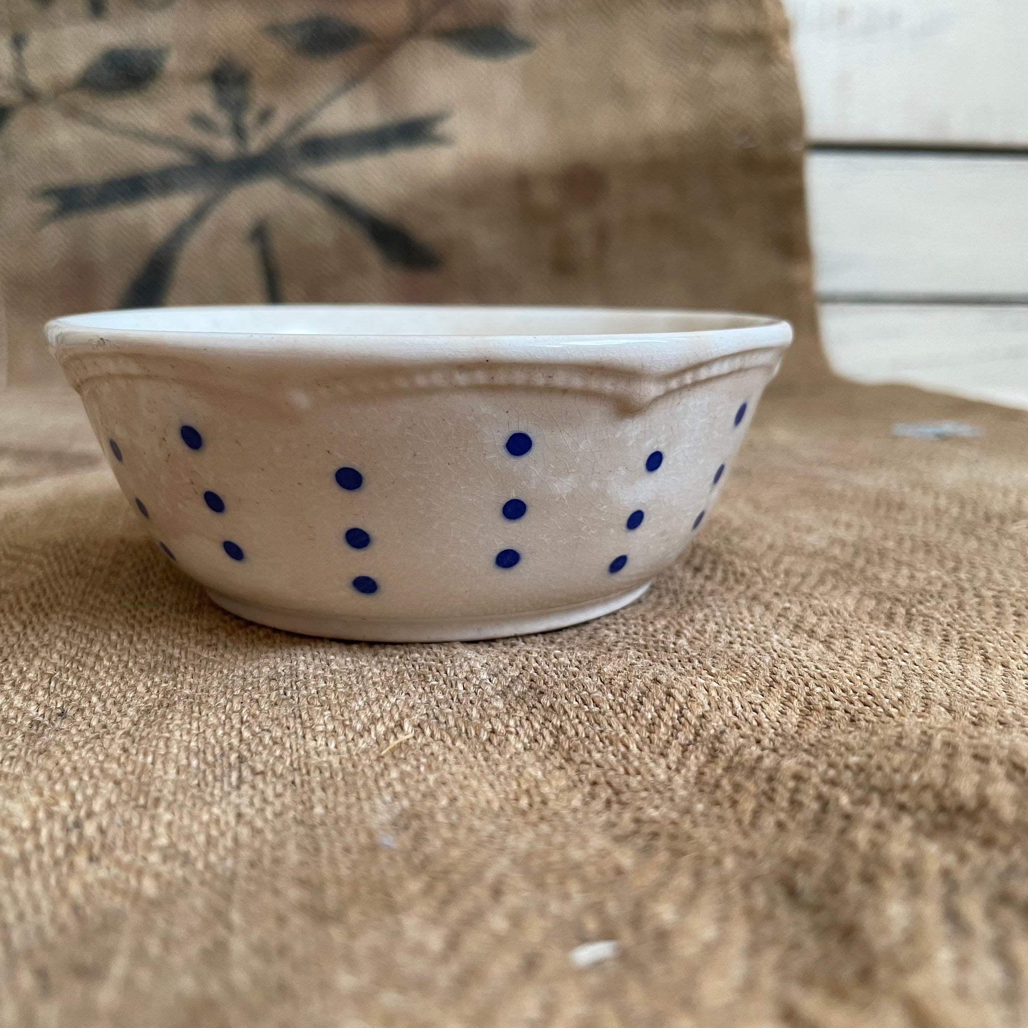 Vintage Polkadot Bowl