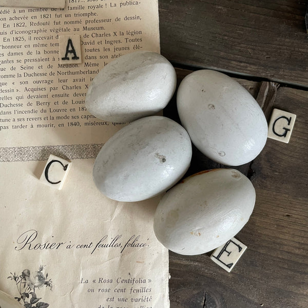 Antique Dummy / Brooding Eggs