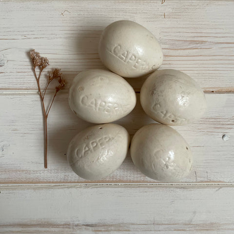 5 Antique Caperns Broody Ceramic Eggs