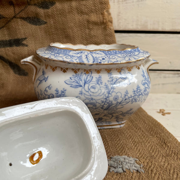Antique Sugar Bowl Pot