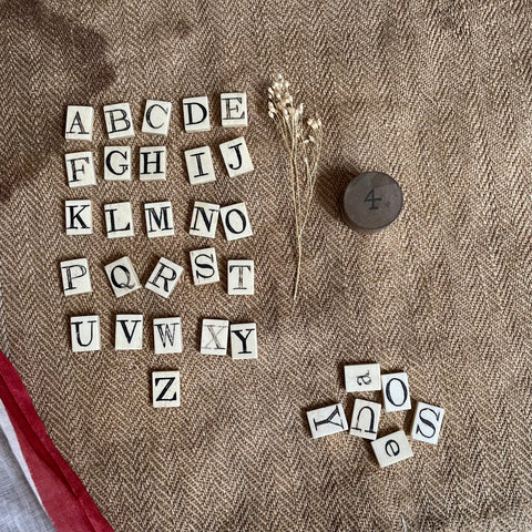 Rare Victorian Bone Spelling Letter Tiles
