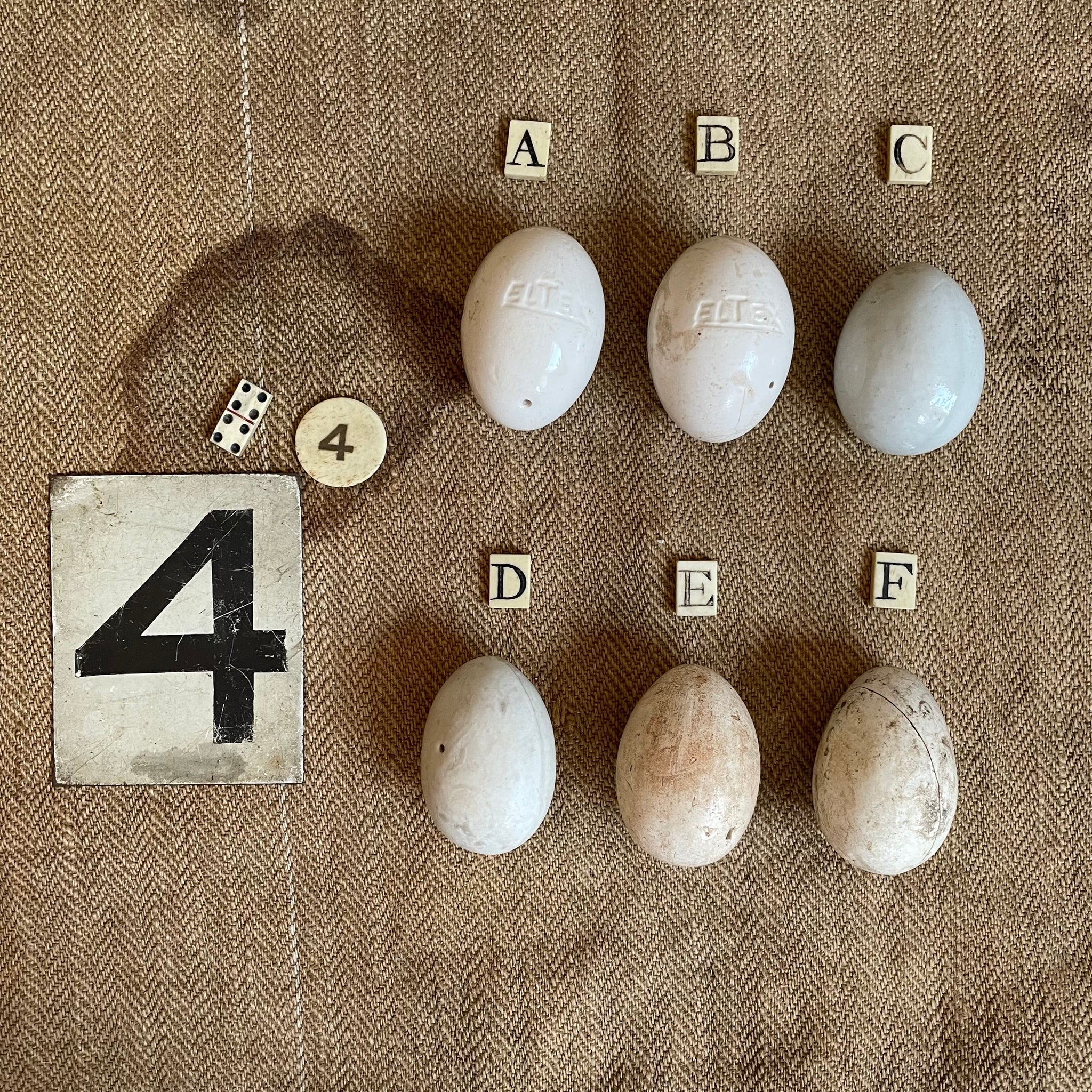 Super Rare Dummy / Brooding Eggs