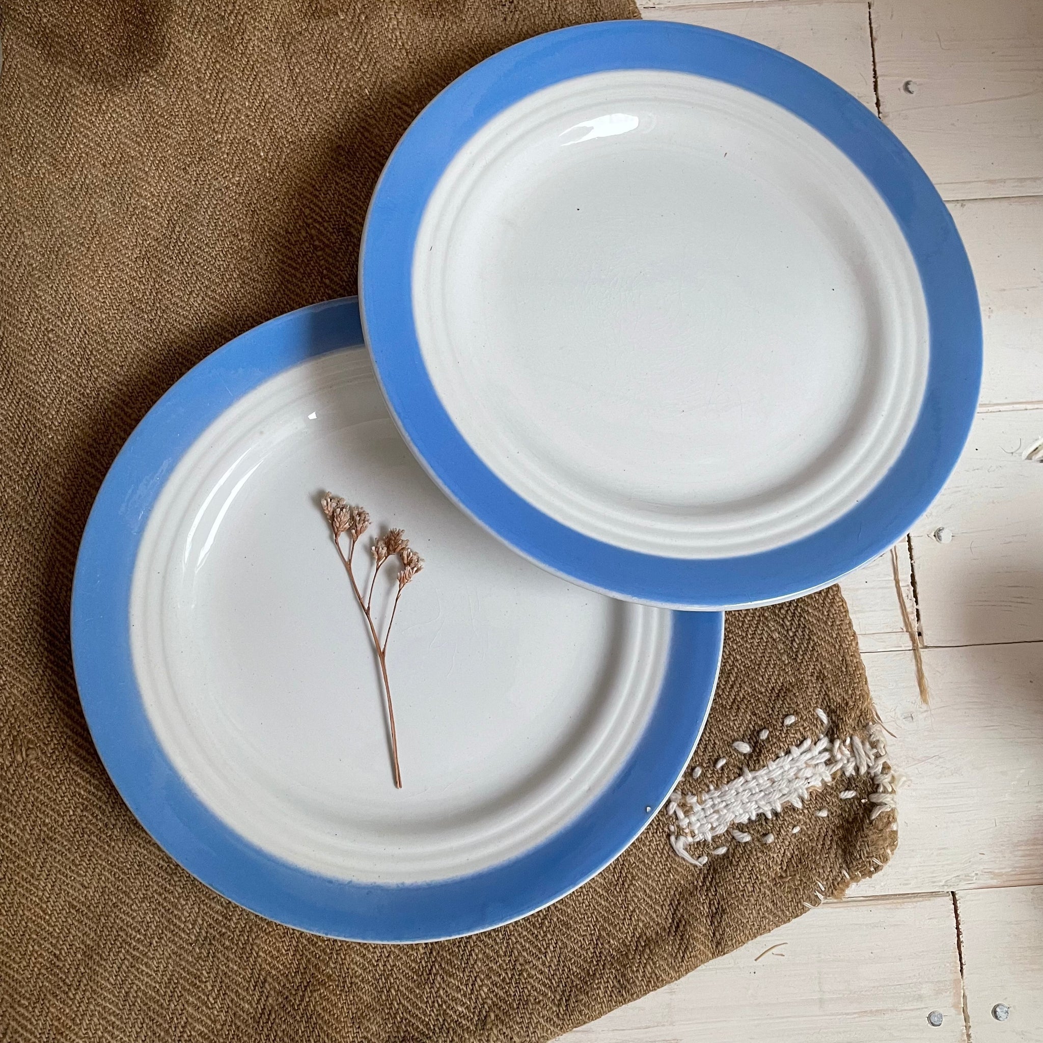 Two French Blue Rimmed Plates