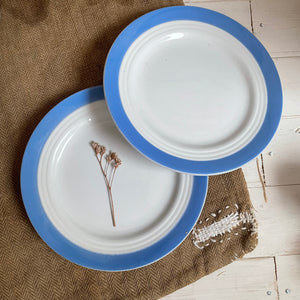 Two French Blue Rimmed Plates
