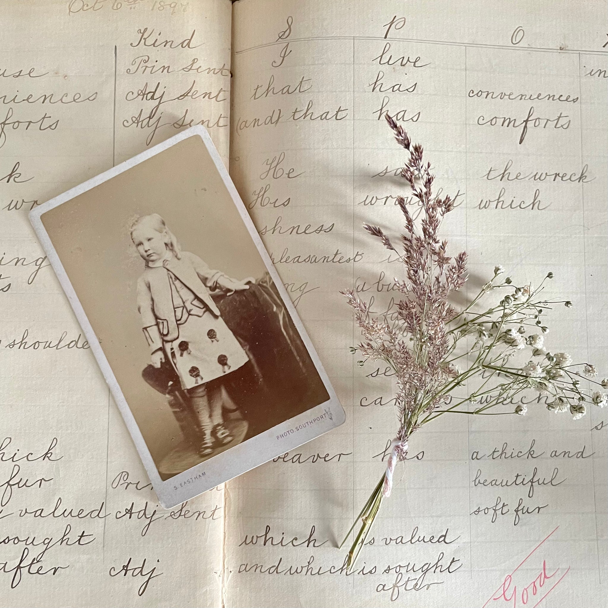 Victorian Little Girl Rosette Skirt Photograph