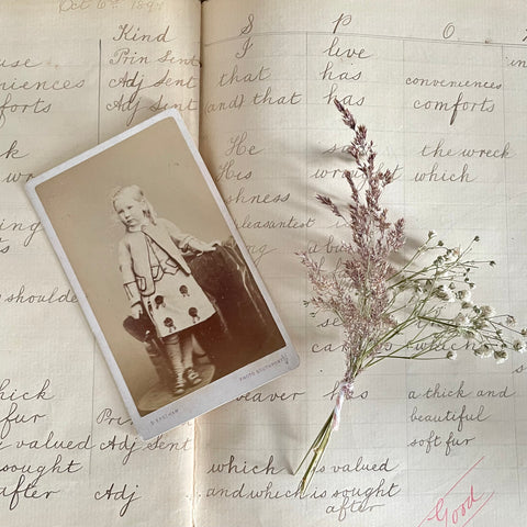 Victorian Little Girl Rosette Skirt Photograph