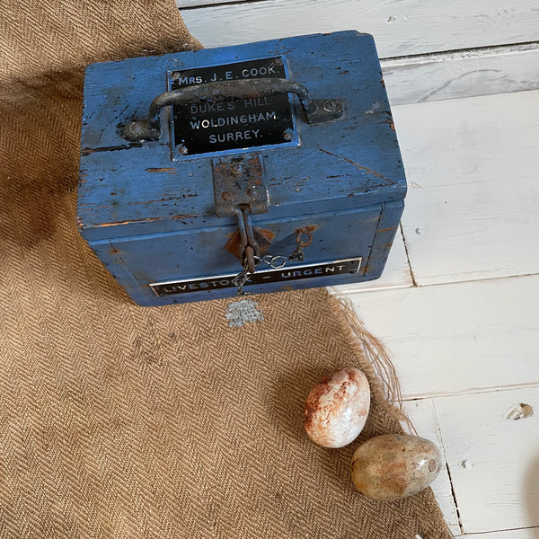 Vintage Livestock Travel Box