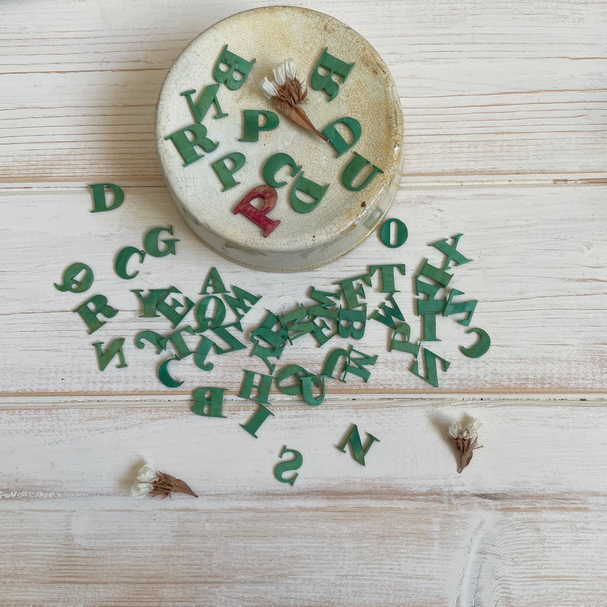 Rare Victorian Bone Carved Spelling Letter