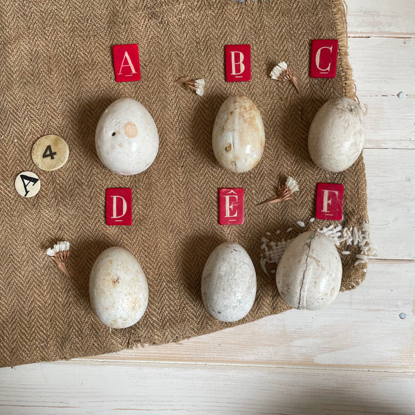 More Super Rare Dummy / Brooding Eggs