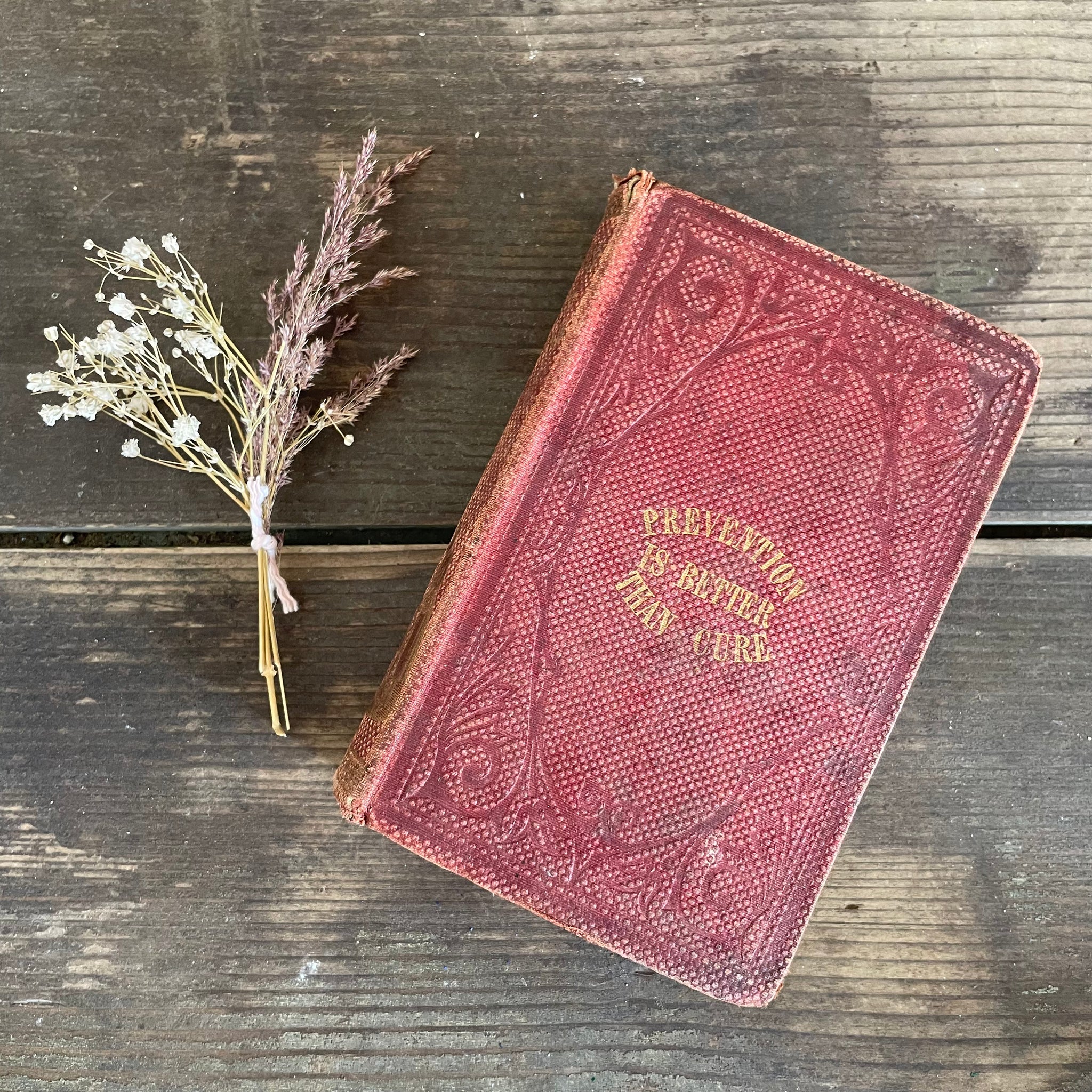 Antique Prevention is better than Cure Book