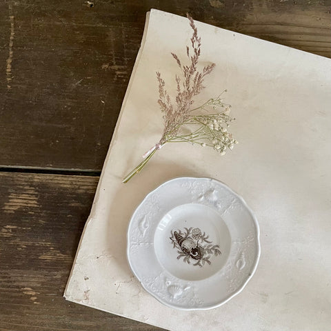 Antique Shell Transfer Plate