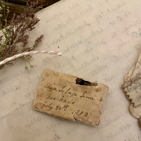 Victorian Hair Mourning/Memento