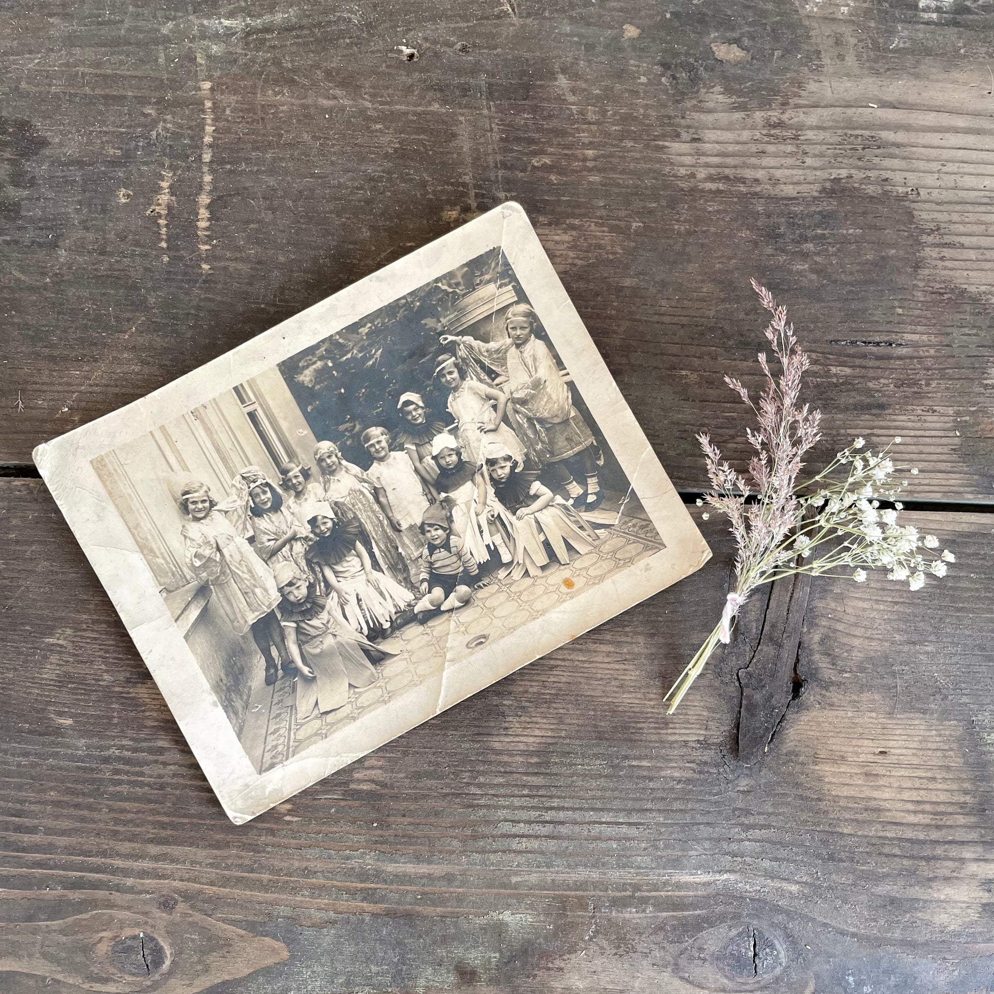 Antique Fancy Dress Photograph