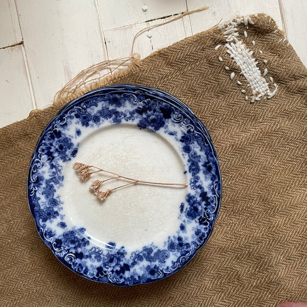 Five French Floral Blue Rimmed Plates