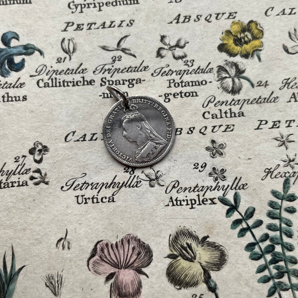 May Love Token
