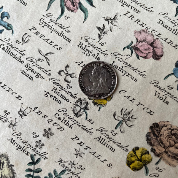 Alice Pictorial Swallow Love Token