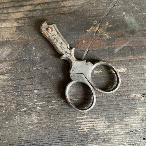 Vintage French Champagne Scissors