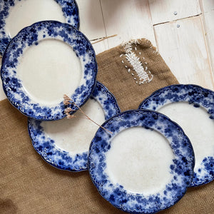 Five French Floral Blue Rimmed Plates