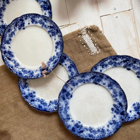 Five French Floral Blue Rimmed Plates