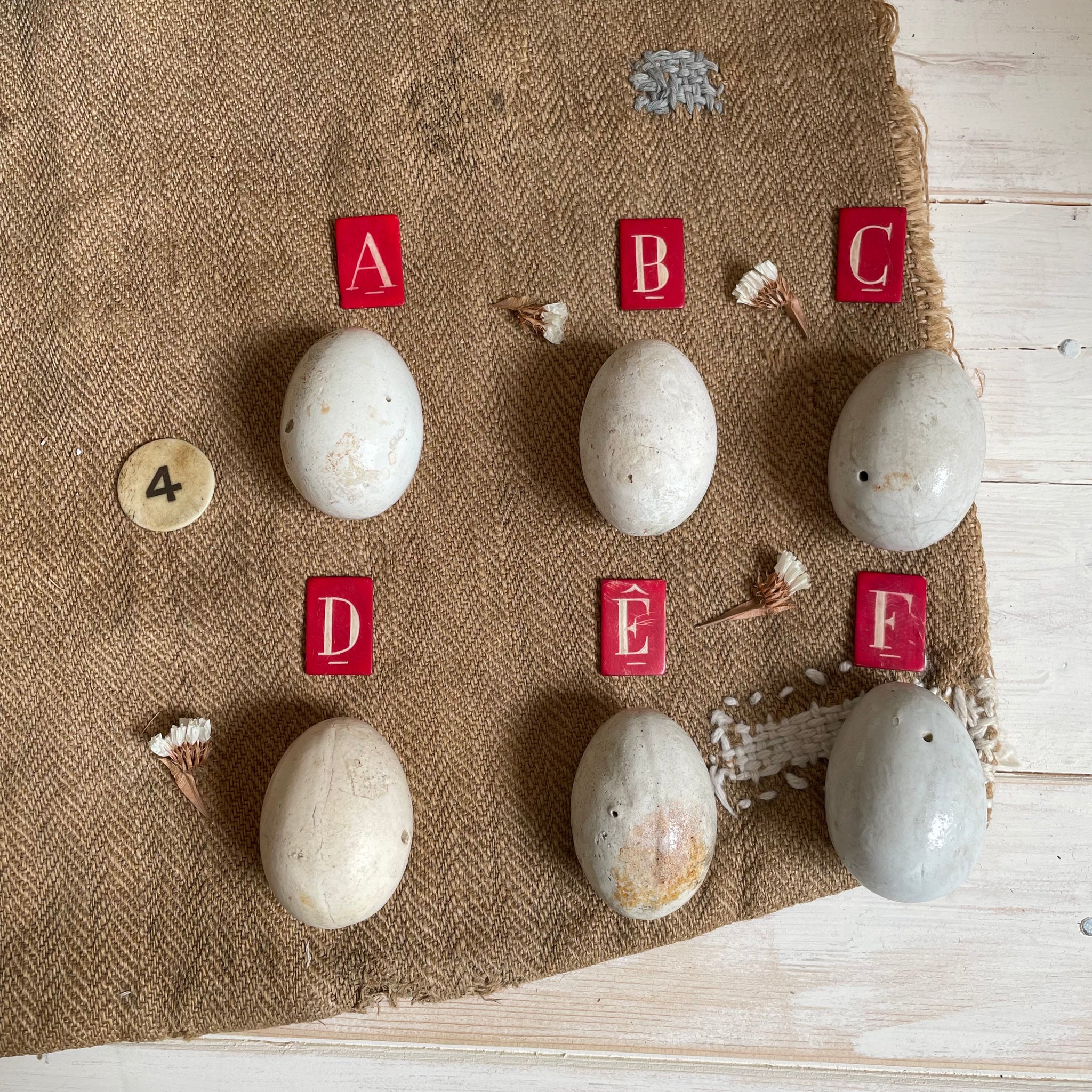 Super Rare Dummy / Brooding Eggs