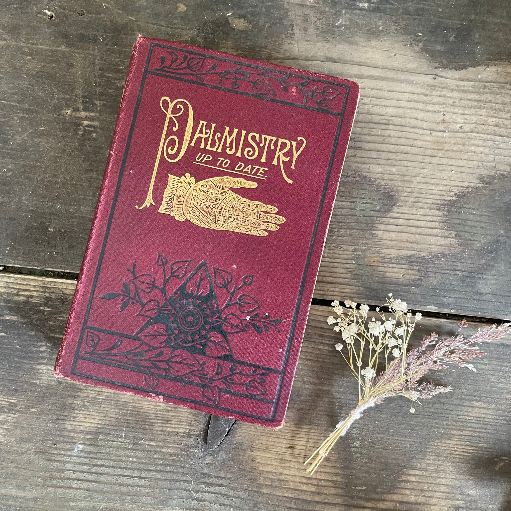 Antique Palmistry Up-To-Date Book