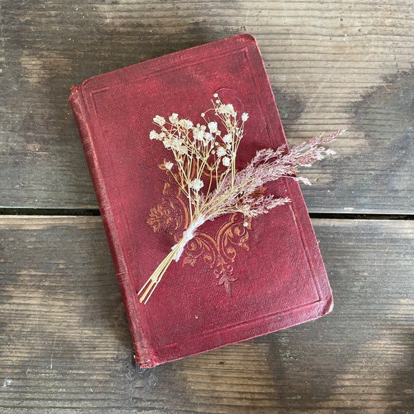 A Rare Victorian Book